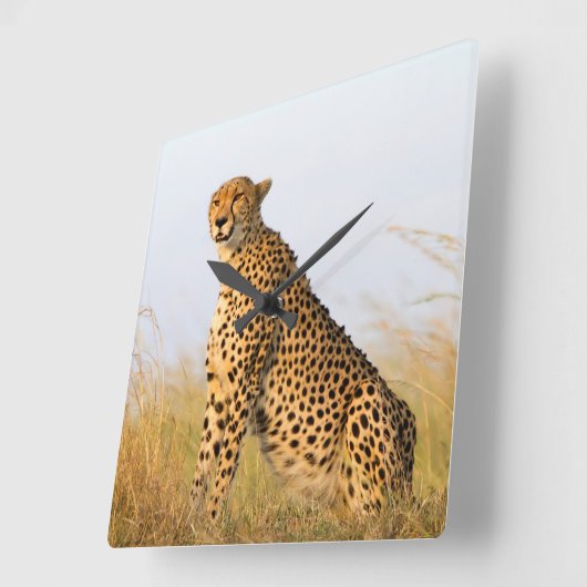 Cat lover cheetah foto vierkante klok (Hoek)