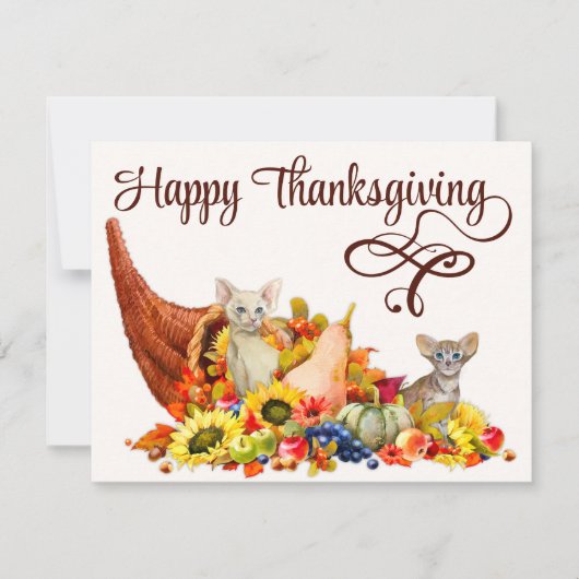Cat Lover Cornucopia Thanksgiving Holiday Seizoen Kaart (Voorkant)