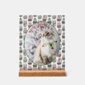 Cat Lover Cute Festive Cat Photo Christmas Acryl Bord (Voorkant)
