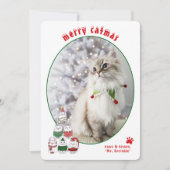 Cat Lover Cute Festive Cat Photo Christmas Feestdagenkaart (Voorkant)