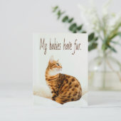Cat Lover, Cute Kitten Meme, mijn baby's hebben ee Briefkaart (Staand voorkant)