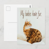 Cat Lover, Cute Kitten Meme, mijn baby's hebben ee Briefkaart (Voorkant / Achterkant)