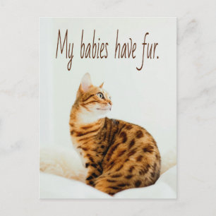 Cat Lover, Cute Kitten Meme, mijn baby's hebben ee Briefkaart
