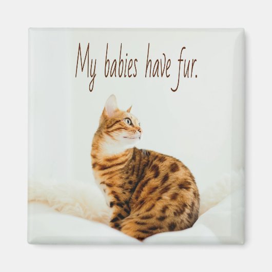 Cat Lover, Cute Kitten Meme, mijn baby's hebben ee Magneet (Voorkant)