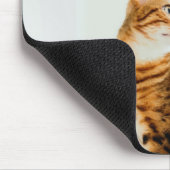 Cat Lover, Cute Kitten Meme, mijn baby's hebben ee Muismat (Hoek)