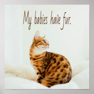 Cat Lover, Cute Kitten Meme, mijn baby's hebben ee Poster