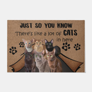 Cat Lover Doormat, Cat Welcome Mat, Funny Cat Gift Deurmat