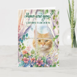 Cat Lover Garden Window Get Well Kaart