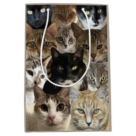 Cat Lover Gift Bag Medium Cadeauzakje (Voorkant)