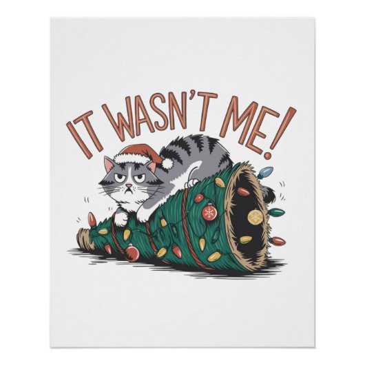 Cat Lover Gift Ik was het niet Perfect Poster (Voorkant)