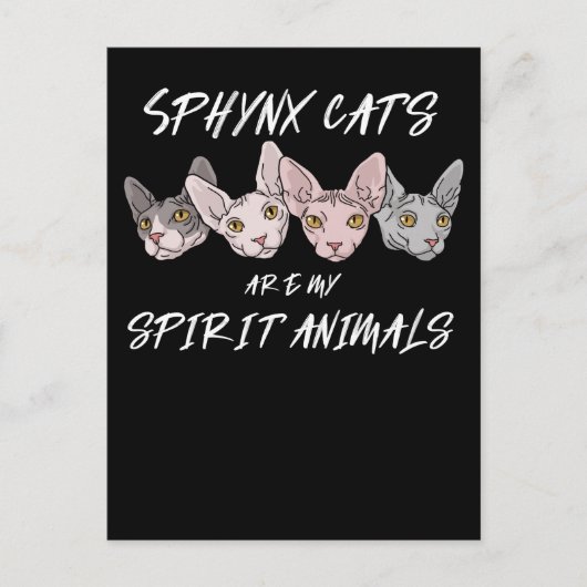 Cat Lover Gift Spirit Animal Sphynx Cat Briefkaart (Voorkant)