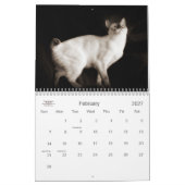 Cat Lover the Cat's Meow 12 maand Kalender (Feb 2027)