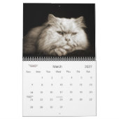 Cat Lover the Cat's Meow 12 maand Kalender (Mar 2027)