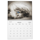 Cat Lover the Cat's Meow 12 maand Kalender (Jan 2016)
