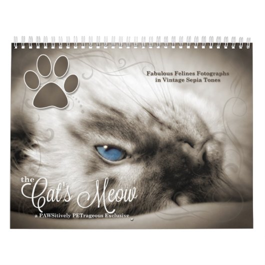 Cat Lover the Cat's Meow 12 maand Kalender (Hoes)