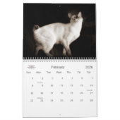 Cat Lover the Cat's Meow 12 maand Kalender (Feb 2026)