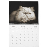 Cat Lover the Cat's Meow 12 maand Kalender (Mar 2026)