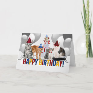 Cat Lover van de groep Birthday Kaart