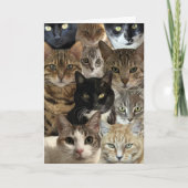 Cat Lover Verjaardag Kaart (Voorkant)