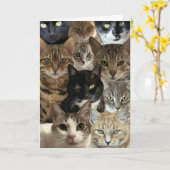 Cat Lover Verjaardag Kaart (Gele Bloem)