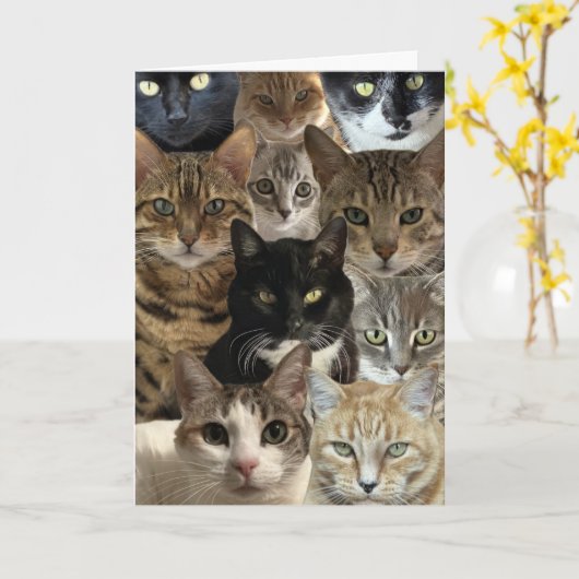 Cat Lover Verjaardag Kaart (Gele Bloem)