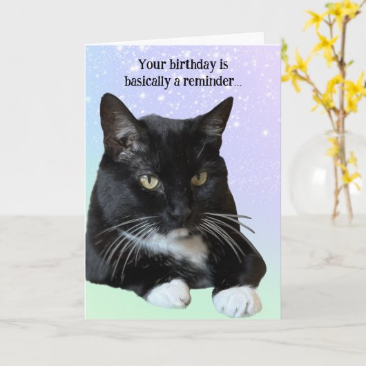 Cat Lover Verjaardag Kaart (Gele Bloem)