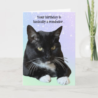 Cat Lover Verjaardag Kaart