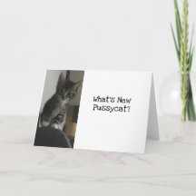 Cat Lover Wat is New Pussycat?Keuken