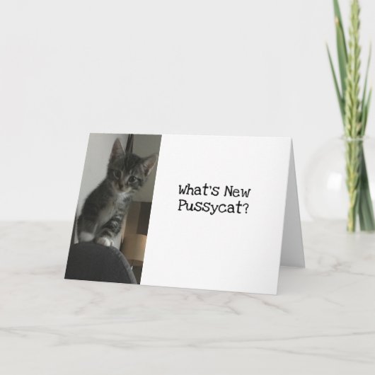 Cat Lover Wat is New Pussycat?Keuken Kaart (Voorkant)