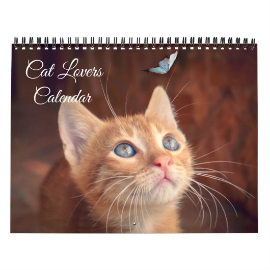 Cat Lovers Calendar Kalender (Hoes)