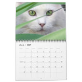 Cat Lovers Calendar Kalender (Mar 2027)