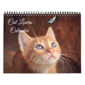 Cat Lovers Calendar Kalender (Hoes)