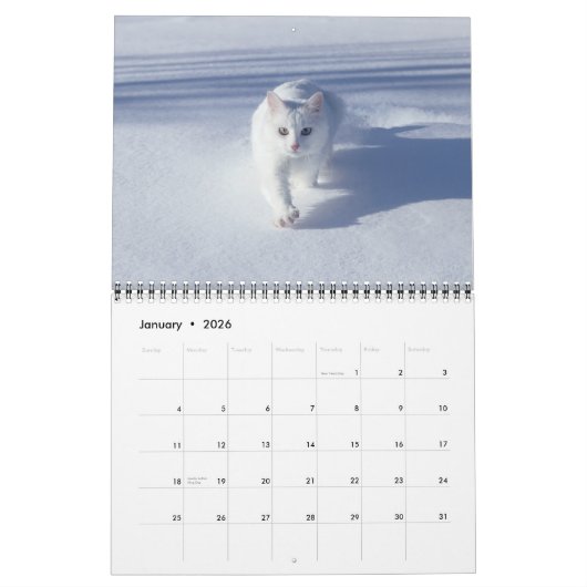 Cat Lovers Calendar Kalender (Jan 2026)