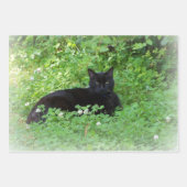 Cat Lovers Cft of Craft Inpakpapier Vel (Voorkant)