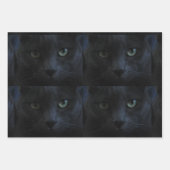 Cat Lovers Cft of Craft Inpakpapier Vel (Voorkant 3)