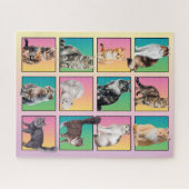 Cat Lover's Color Block Collage Pastelpuzzel Legpuzzel (Horizontaal)