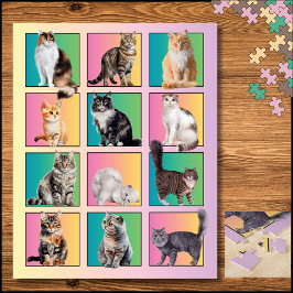 Cat Lover's Color Block Collage Pastelpuzzel Legpuzzel