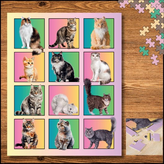 Cat Lover's Color Block Collage Pastelpuzzel Legpuzzel