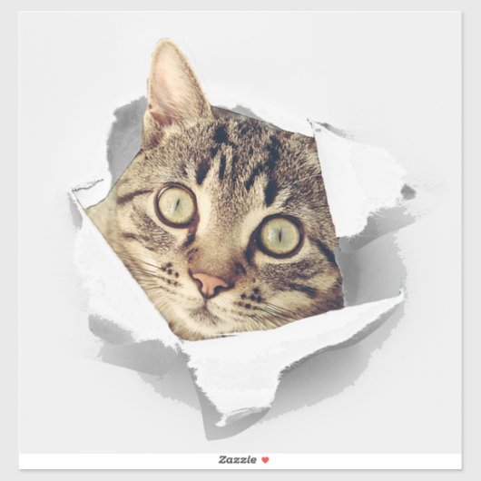 Cat Lovers Face Fun Sticker (Vel)