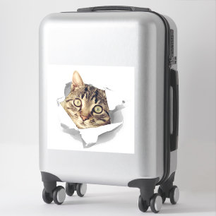 Cat Lovers Face Fun Sticker