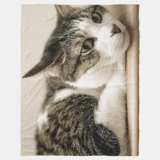 Cat Lovers Fleece Blanket (Voorkant)