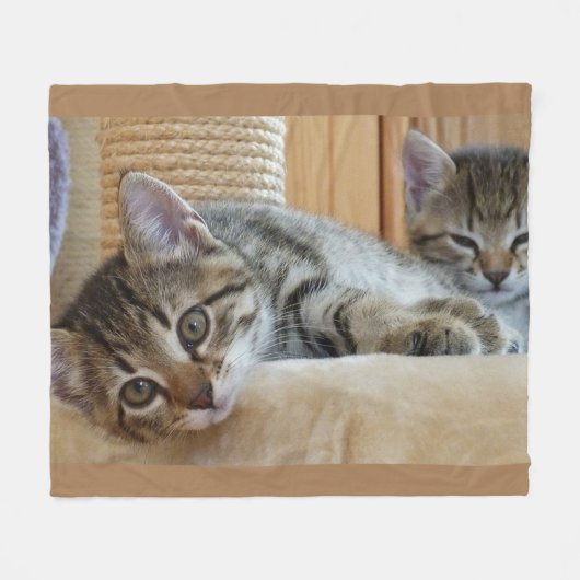 Cat Lovers Fleece Blanket Deken (Voorkant (Horizontaal))