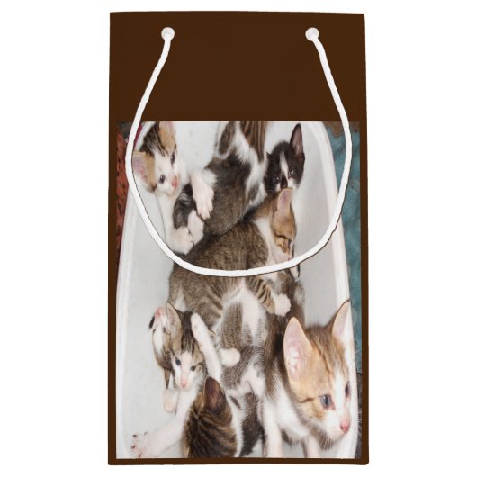 Cat lovers gift klein cadeauzakje (Achterkant)