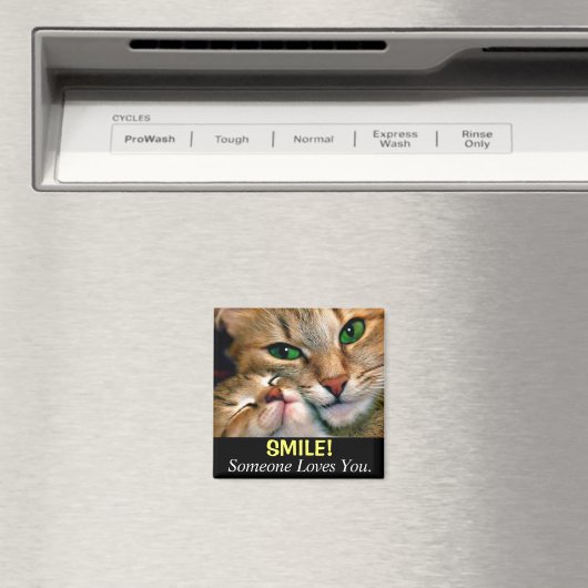 Cat Lovers Magnet (Insitu (Vaatwasser))