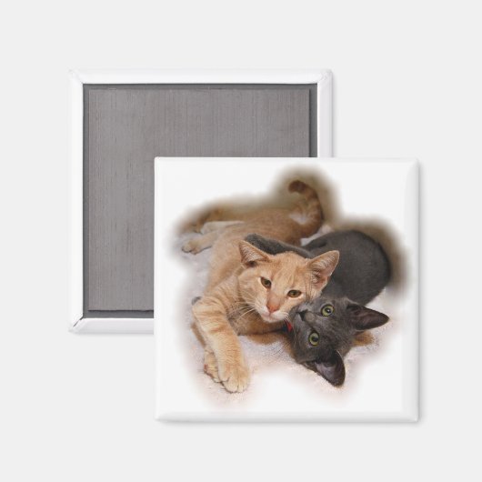 Cat Lovers Magnet (Voorkant / Achterkant)