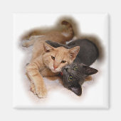 Cat Lovers Magnet (Voorkant)
