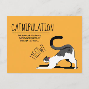 Cat Lovers Meow Design Briefkaart