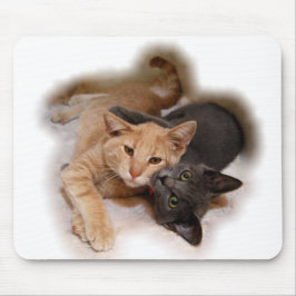 Cat Lovers Mousepad Muismat