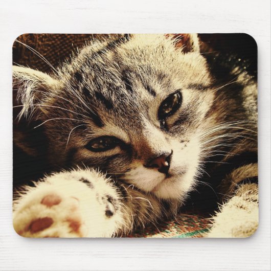 Cat Lovers Muismat (Voorkant)