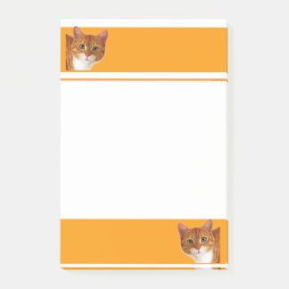 Cat Lovers Post it Notes